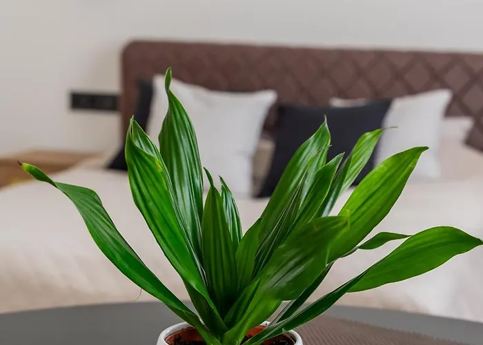 Apartment Mucenieku Old Town Bright